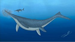 MAVİ BALİNAYA YENİ RAKİP: ICHTHYOTİTAN (İKTİYOTİTAN)