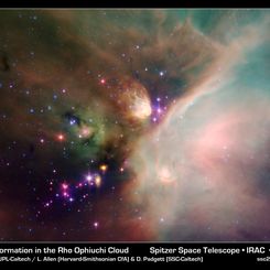 Young Stars in the Rho Ophiuchi Cloud