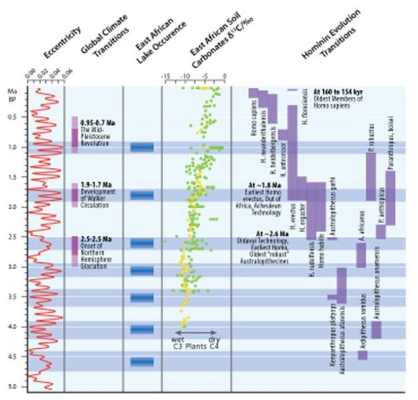 Şekil 6: Dünya çapındaki iklimsel dönüşümleri, Doğu Afrika’da göl oluşumları ve topraktaki karbonat kayıtlarını ve insansıların evrimini özetleyen şema.  Doğu Afrika’daki göl oluşumlarının 2,7 milyon yıl önceden (KYB’den önce) daha eski dönemlerde dışmerkezliğin en yüksek olduğu dönemlerde toplandıkları, daha sonrasındaysa (KYB’den sonra) dışmerkezliğin en yüksek olduğu dönemlerle ilişkilendirilen küresel iklimsel dönüşümler sırasında meydana geldikleri çıkarımında bulunulabilir. Göl dönemlerinin her zaman dışmerkezliğin en yüksek olduğu dönemlerde olmadıkları ve bazılarının dışmerkezliğin en düşük olduğu dönemlerde ortaya çıktığı göz önünde bulundurulmalıdır. İnsansıların ilk ve son ortaya çıkış tarihleri yaklaşık olarak verilmiştir.