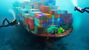 Lost Shipping Containers Threaten Ocean Ecosystems