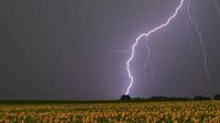 Unwetter in Brandenburg und Berlin: Wetterdienst warnt vor Gewitter, Sturm und Hagel