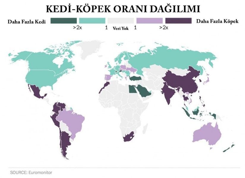 Türkiye'de yaşayan kediseverler! Yaşanabilecek en iyi ülkelerden birindesiniz diyebiliriz. Çünkü tüm Dünya'daki kedi-köpek oranı dağılımına baktığımızda, Türkiye'deki kedilerin sayısının köpeklerin 3 katı olduğunu görüyoruz! Benzer bir durum Avusturya ve İsviçre için de geçerli. Köpekseverlerin ise en fazla köpeği bulabilecekleri yerlerin başında Hindistan ve Çin geliyor. Hindistan'da köpekler kedilerin 10 katı bir popülasyona sahip! Çin'de ise bu oran 2.5 civarında.