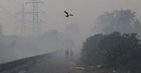 With Diwali Comes the Start of Air Pollution Season in New Delhi