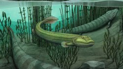 Diğerleri karaya çıkarken suda kalan bir balık fosili olan Qikiqtania ile tanışın.