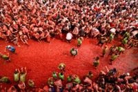 La Tomatina marks 80 years of tomato-fuelled chaos at Spain’s fruit-throwing festival