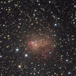 Starburst Galaxy IC 10