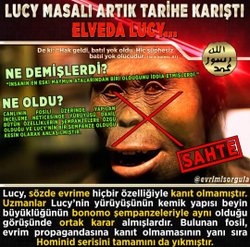 Lucy olayı hakkında pek bir bilgim yok da bunun ne olduğunu anlatabilir misiniz?