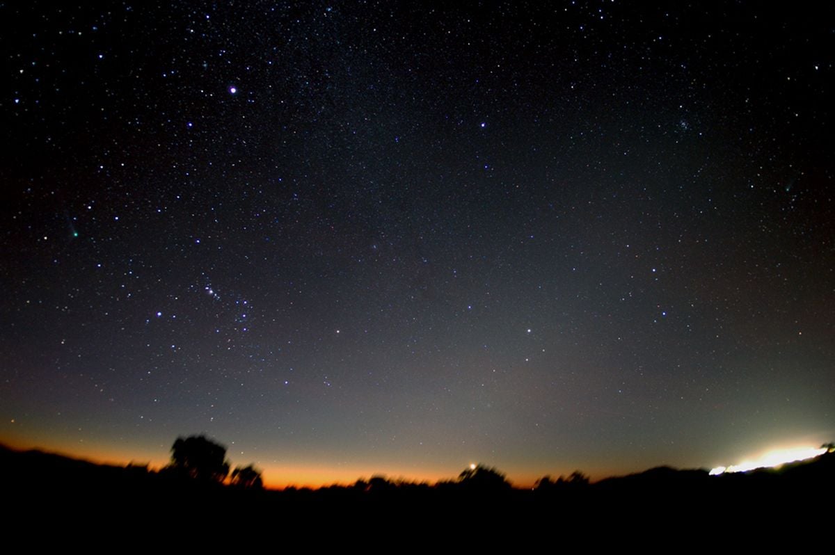 Two Comets in Southern Skies