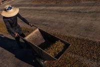 Tariffs and Climate Change Push Coffee Prices Up