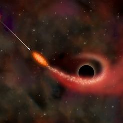 X-Rays Indicate Star Ripped Up by Black Hole