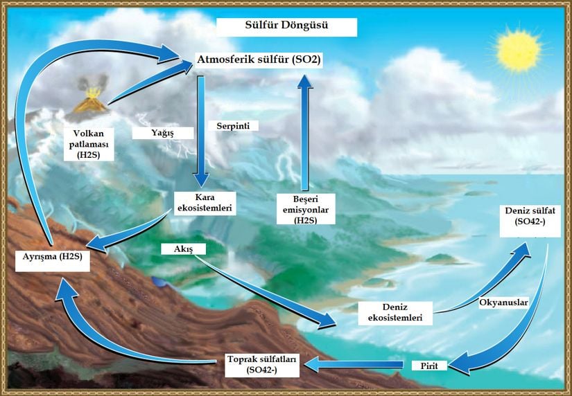 Atmosferdeki kükürt dioksit, zayıf sülfürik asit olarak yağışta çözündüğünde veya serpinti olarak doğrudan Dünya'ya düştüğünde karasal ve deniz ekosistemleri için; kayaların ayrışması da sülfatları karasal ekosistemler için kullanılabilir hale getirir. Canlı organizmaların ayrışması sülfatları okyanusa, toprağa ve atmosfere geri döndürür.