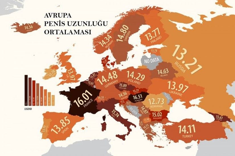 Görselden görebileceğiniz gibi, en yüksek ortalama 16.51 santimetre ile Macaristan iken, en küçük ortalama 12.78 santimetre ile İrlanda. Aynı sitede ABD verileri de bulunmakta ve bu verilere göre 15.74 santimetre ile New Hampshire eyaleti en yüksek ortalamaya sahipken, 13.44 santimetre ile Wyoming eyaleti en düşük ortalamaya sahip.