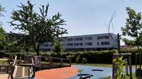 Gunman opens fire in Austrian school, killing 10 and throwing country into shock | CNN