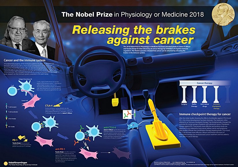 2018 Nobel Prize in Physiology or Medicine