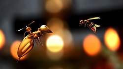 Robot Savaşları: Savaş Olgusunun Evrimindeki Bir Sonraki Basamak Olarak İnsansız Savaşlar!