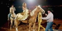 70+ Cowboy Carter Tour Outfit Ideas Just for You