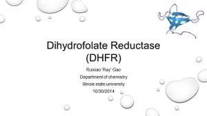 New Insights Into R67 Dihydrofolate Reductase Structure With Congo Red