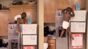 Child's Refrigerator Climb Sparks Online Laughter