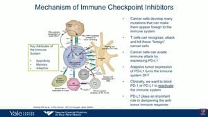 Key Predictors Unveiled For Immunotherapy Response In Bladder Cancer