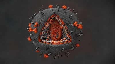 İnsan Bağışıklık Yetmezliği Virüsü (HIV) ve Sebep Olduğu Hastalık (AIDS) Hakkında Bilmeniz Gerekenler!
