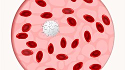 Kan grubu tayini nasıl yapılır?