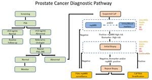 New Method Improves Prostate Cancer Detection For Challenging Lesions