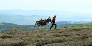 Antoinette's Journey Through The Cévennes Captivates Audiences