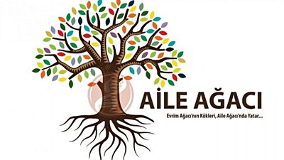 Evrim Ağacı ve Soy Ağaçları: Dünya'daki Her İnsan ve Her Canlı Aslında Kuzeninizdir!