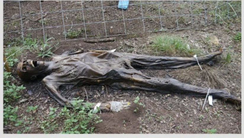 İleri Seviye Ayrışma