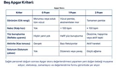 Yenidoğanın İlk Değerlendirmesi: APGAR Skoru Nedir, Nasıl Hesaplanır?