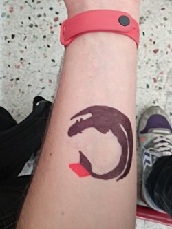 CD kalemi ya da Permanent Marker'lar ile deri üzerine yapılan çizimler deriye zarar verir mi?