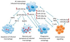 New Biomarkers Identified For Tuberculosis Progression Using Bioinformatics