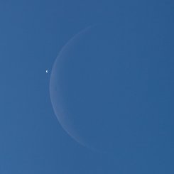 Gündüz Ayı Sabah Yıldızıyla Buluşuyor!