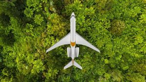 Aviation Industry Embraces Sustainable Aviation Fuel For Greener Future