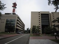 「美人過ぎる」と話題の福井県警新本部長の華麗なプロフィール　「夫は開業医」「絵に描いたようなエリート家庭」 | デイリー新潮