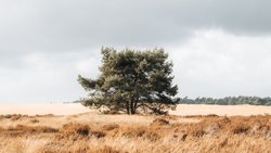 Overthinking Sendromu, aşırı düşünmek nedir?