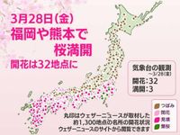 今日の桜開花状況 3月28日(金)　福岡など3地点で桜満開　開花は6日間で33地点に