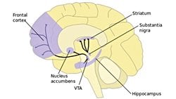Chopin’in Müziği Ve Sigara Bağımlılığı İle Ortak Noktası: Beklenti Ve Çözülme