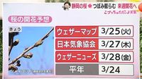 23日は静岡で夏日予想　黄砂も【静岡・ただいま天気　3/21】（テレビ静岡NEWS） - Yahoo!ニュース