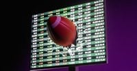 The Company Making a Mockery of State Gambling Bans