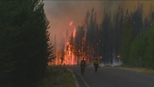 Wildfires Challenge Our Environment And Agriculture