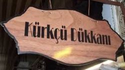 Sevgili Evrim Ağacı Ailesi, Ailem!