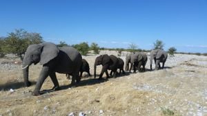 Southern Africa Faces Environmental Crisis Amid Climate Challenges