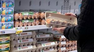 Germany Faces Egg Shortages And Rising Prices