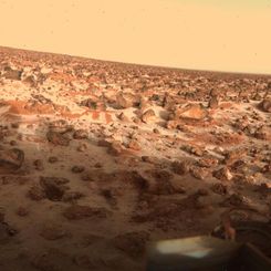 Could Hydrogen Peroxide Life Survive on Mars?