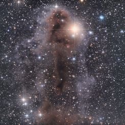  Lynds Dark Nebula 1251 