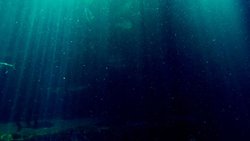 Mikroplar, Karanlıkta da Oksijen Üretebiliyor!