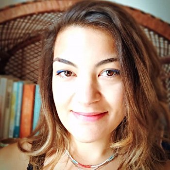 Teşekkürler, G. Deniz Salalı!