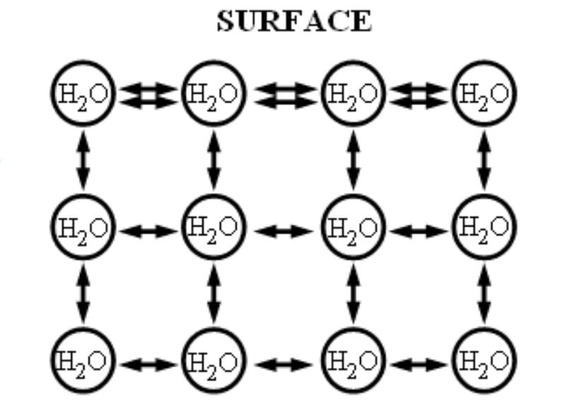 Suyun yüzey katmanı haricinde kalan yerlerde su molekülleri üzerindeki net kuvvet sıfırdır. Yüzeydeyse içe doğru bir net kuvvet oluşmaktadır. Bu kuvvet, yüzey gerilimi kuvvetidir.