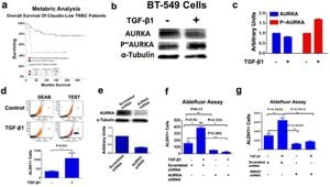 Proteomic Profiling Reveals Aurora Kinases Drive TNBC Chemotherapy Resistance